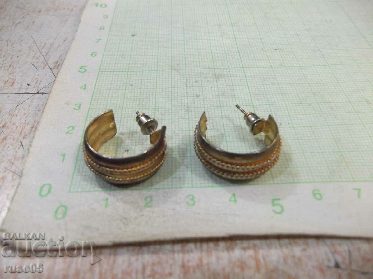 Auction Earrings - 6 Auction Earrings - 6