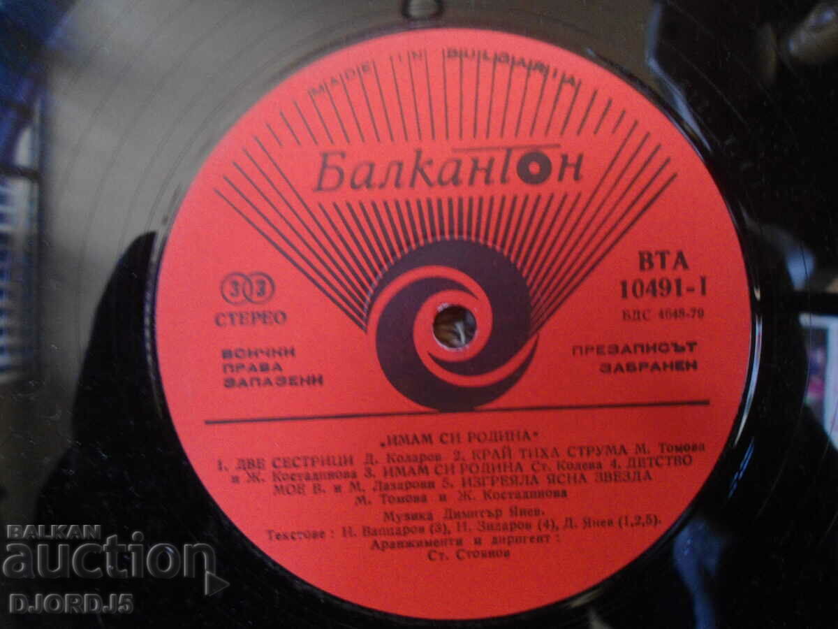 I have my homeland, VTA 10491, gramophone record, large