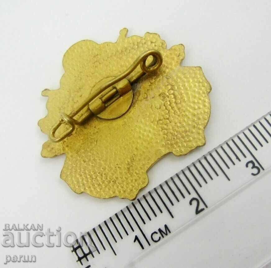 Delivery of OLD GERMAN HUNTING BADGE Delivery of OLD GERMAN HUNTING BADGE