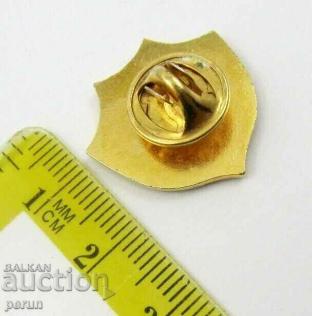 Delivery of Rare Sign-Israel-Jewish Badge Delivery of Rare Sign-Israel-Jewish Badge