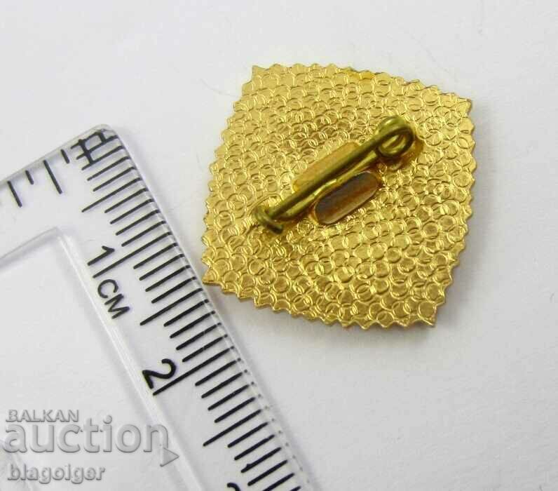 Auction BUILDERS' UNION-USSR-SOTC BADGE Auction BUILDERS' UNION-USSR-SOTC BADGE