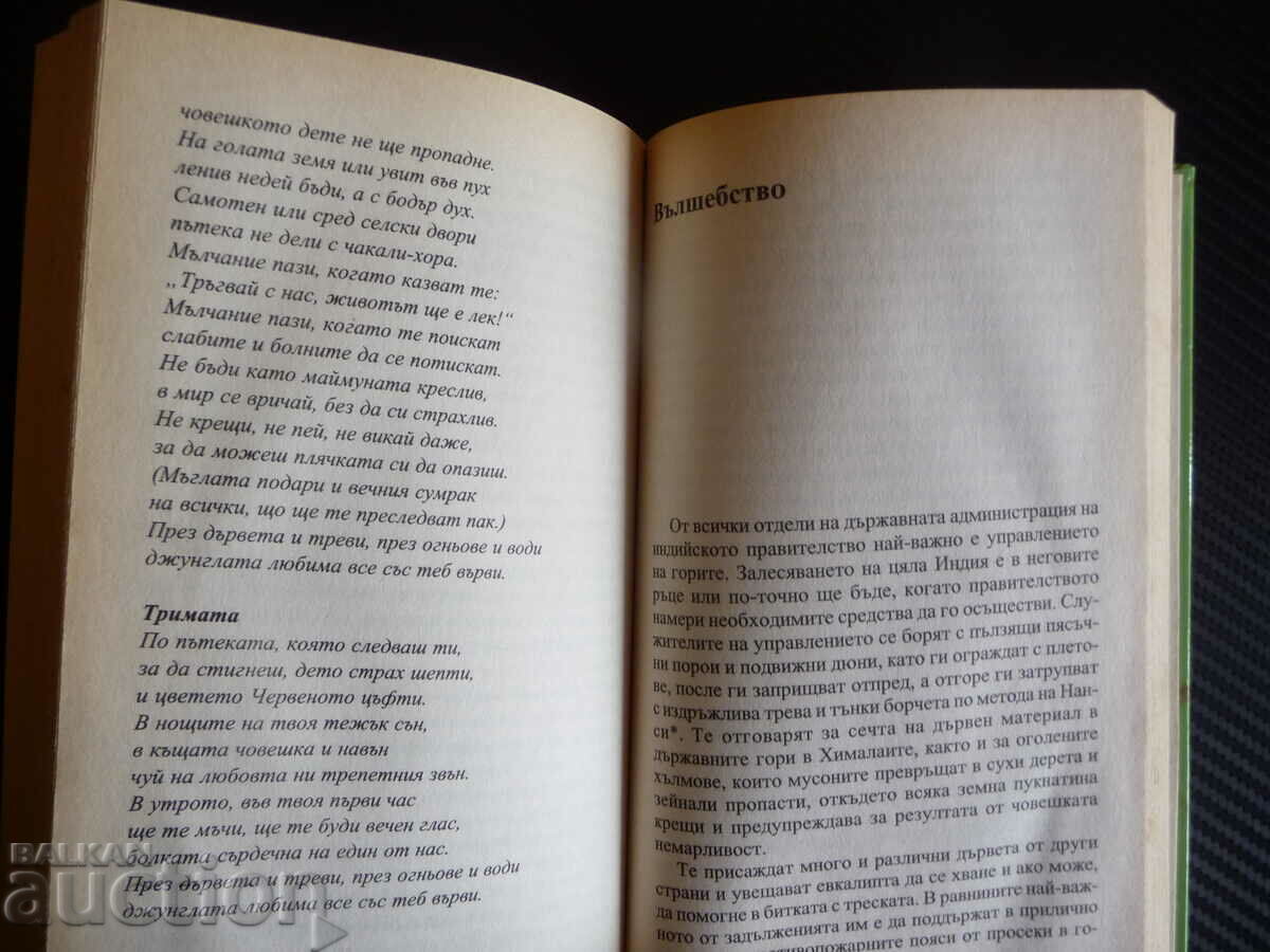 Auction The Jungle Book Rudyard Kipling Golden Children's Books Mowgli Auction The Jungle Book Rudyard Kipling Golden Children's Books Mowgli