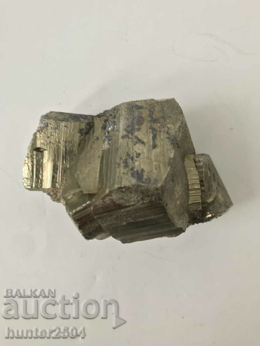 Drusus-7-5 cm - 5 Drusus-7-5 cm - 5