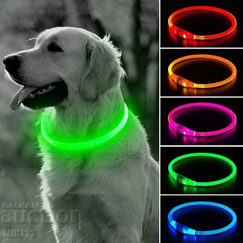 Guler LED luminos pentru rase mari si mici de caini, lesa
