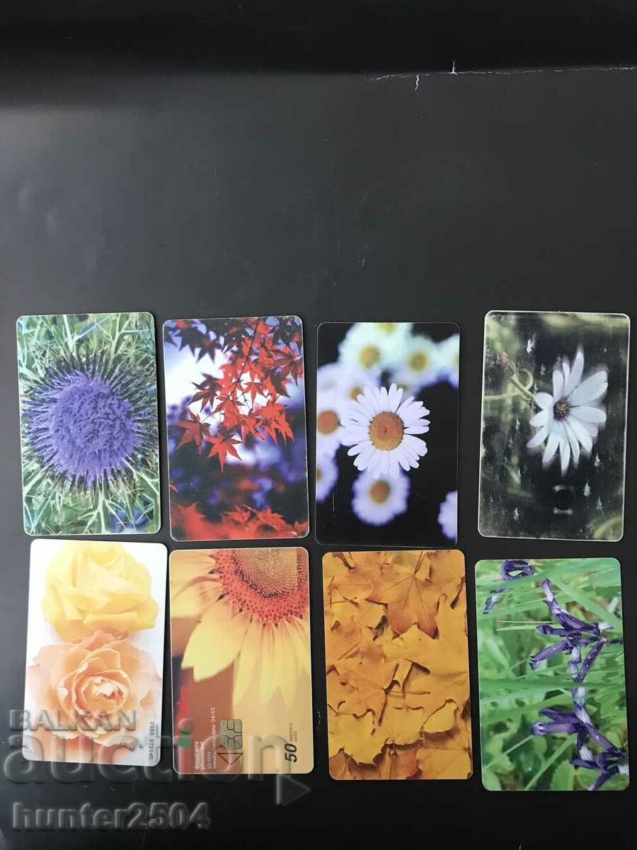 Κάρτες ήχου - 8 τεμ.