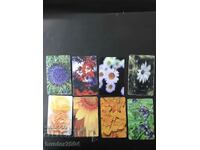 Фонокарти-8 бр.