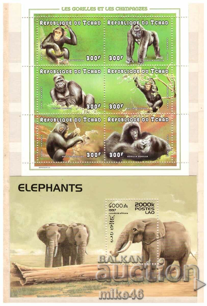 FAUNA clean blocks from Chad and Laos
