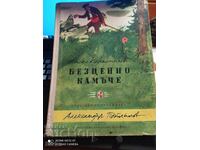 Ангел Каралийчев, Безценното камъче