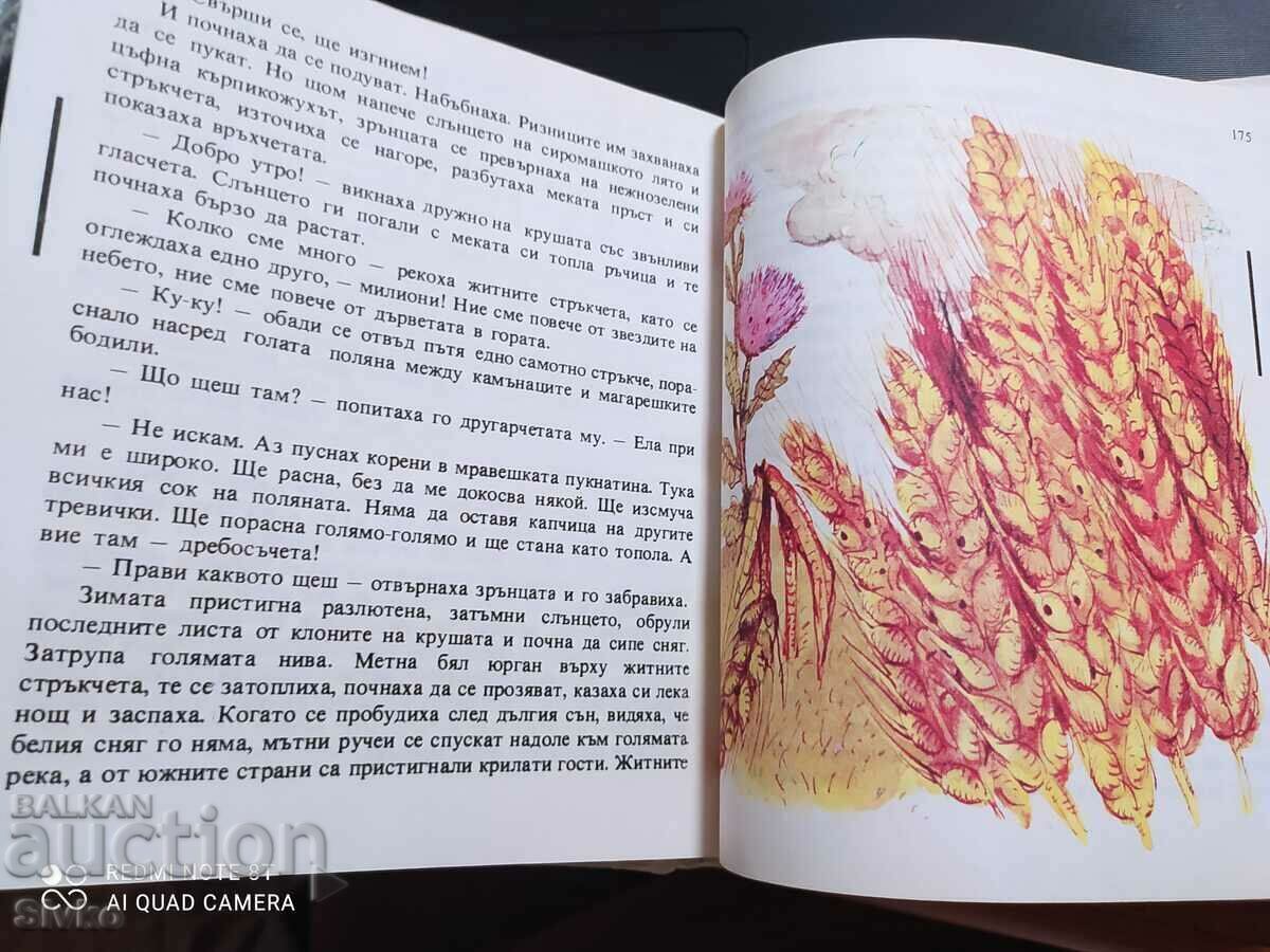 Angel Karaliychev, Rye bread - 5