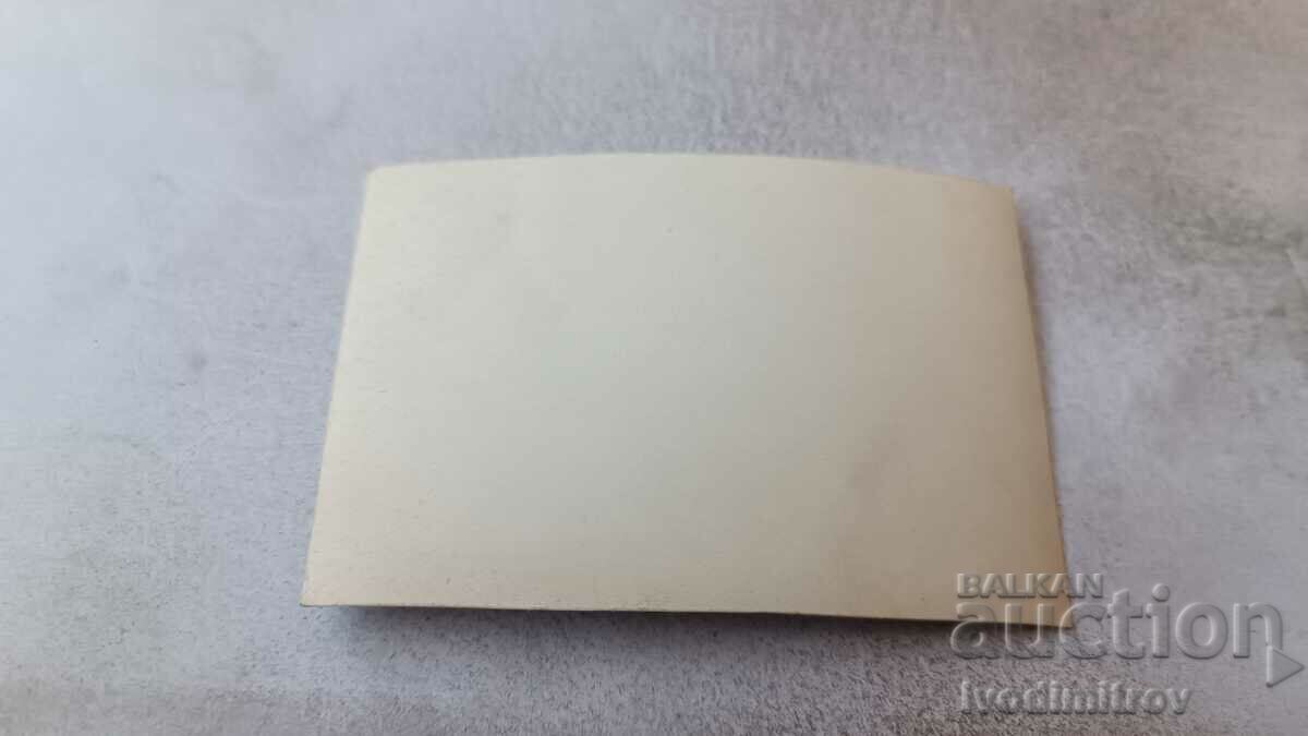 Photo Men and women on the lawn with price 1.35 BGN | € 0.69 Photo Men and women on the lawn with price 1.35 BGN | € 0.69