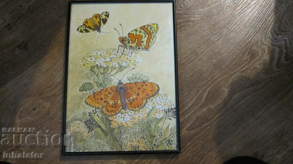 Watercolor Butterflies in a metal frame - 34 - 24 cm