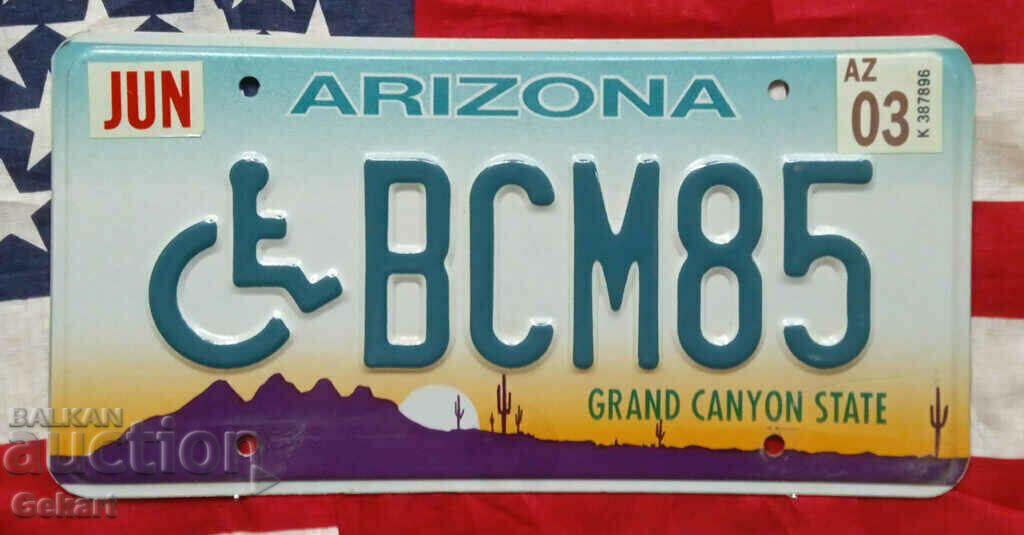 US License Plate Plate ARIZONA Invalid