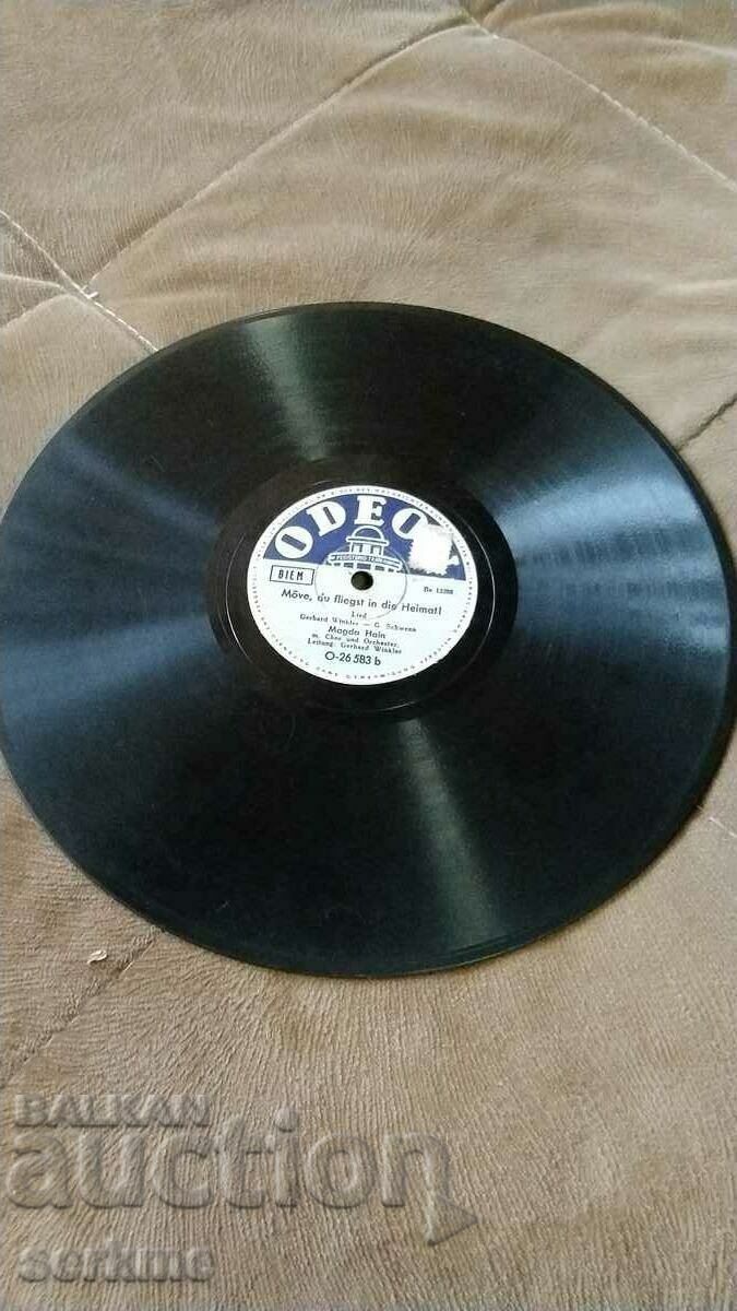 Auction Old gramophone record medium format Auction Old gramophone record medium format