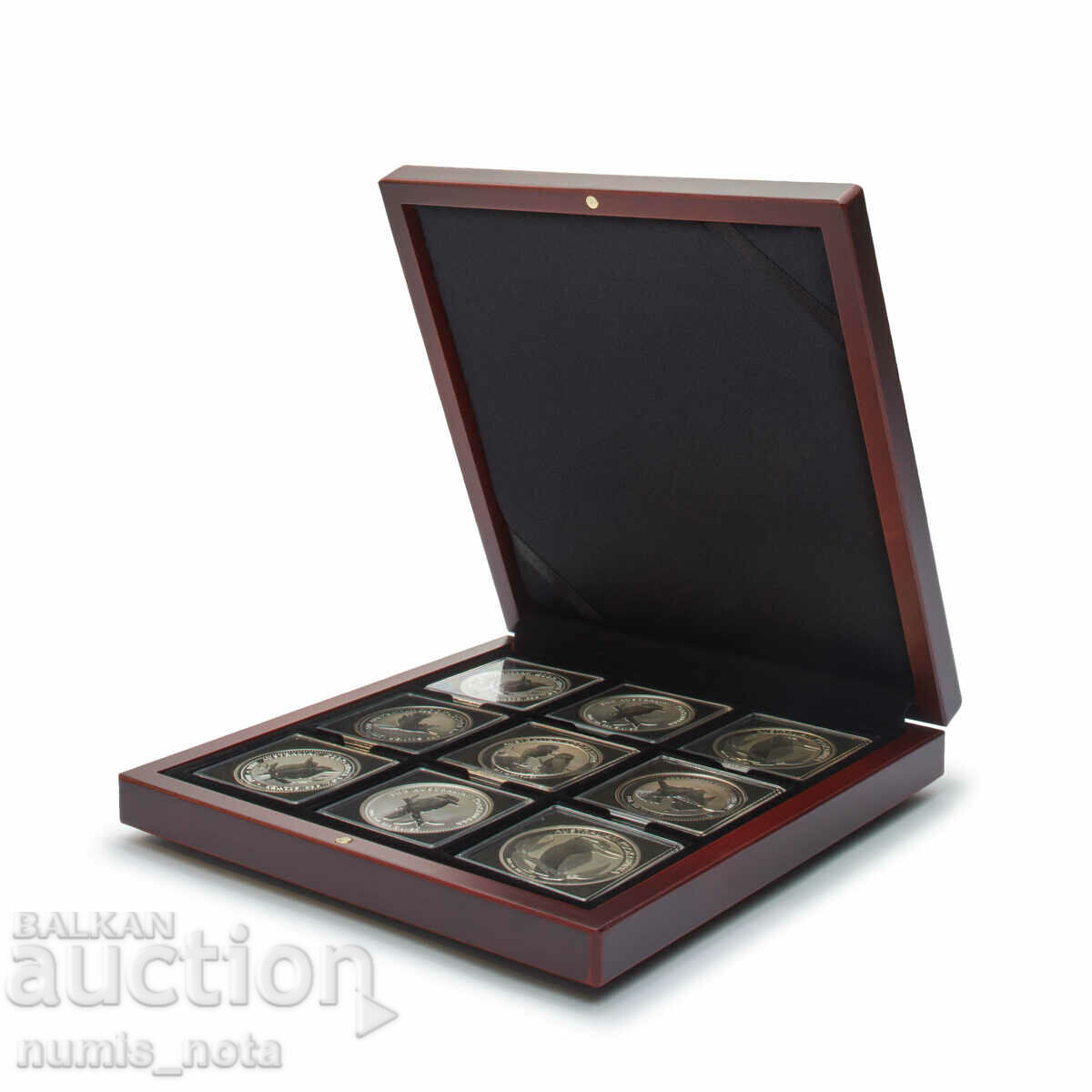 luxury Volterra wooden box for 9 coins in capsules