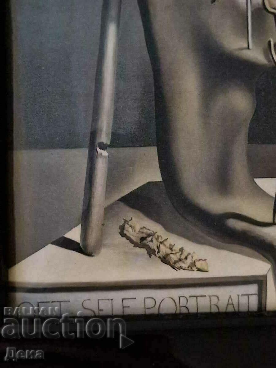 Reproducerea lui Salvador Dali a picturii sale - 5