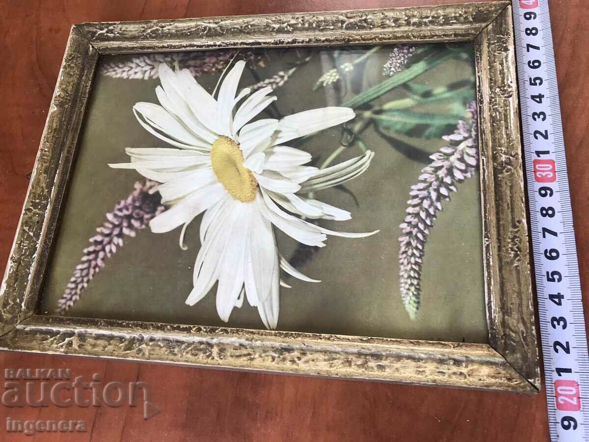 PICTURE POSTER PHOTO WOOD FRAME GLASS FROM THE 70'S with price 17.00 BGN | € 8.69 PICTURE POSTER PHOTO WOOD FRAME GLASS FROM THE 70'S with price 17.00 BGN | € 8.69