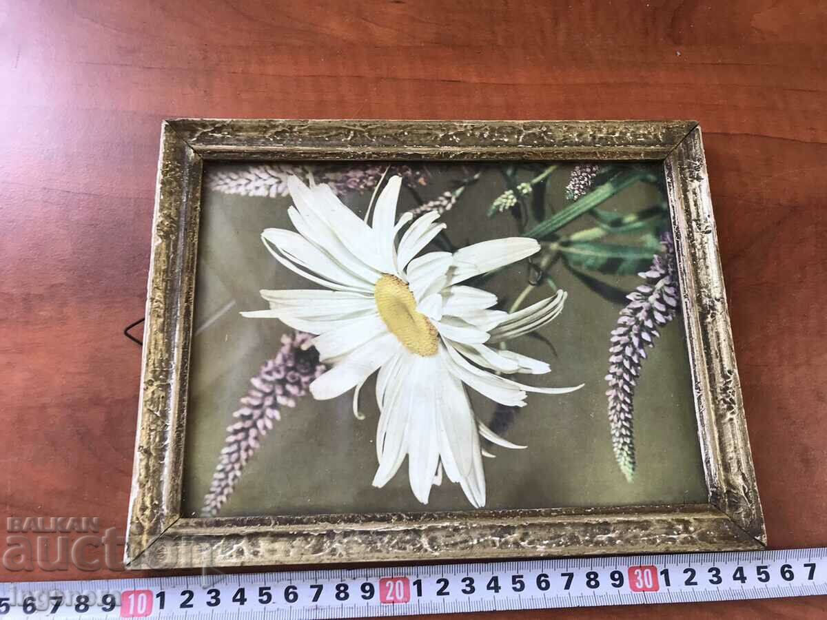 Delivery of PICTURE POSTER PHOTO WOOD FRAME GLASS FROM THE 70'S Delivery of PICTURE POSTER PHOTO WOOD FRAME GLASS FROM THE 70'S