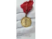 Рядък княжески опълченски медал 1880 г. Александър Батенберг