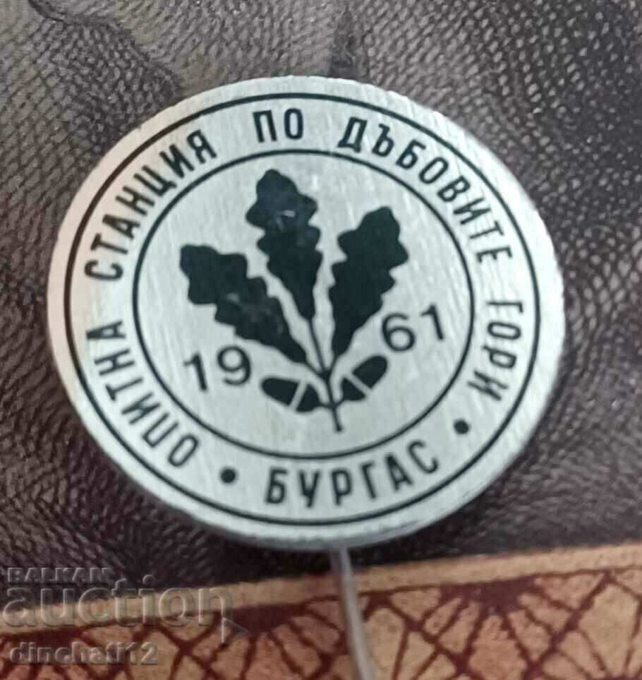 Δημοπρασία Μπουργκάς 1961 Πειραματικός σταθμός στα δάση βελανιδιάς Δημοπρασία Μπουργκάς 1961 Πειραματικός σταθμός στα δάση βελανιδιάς