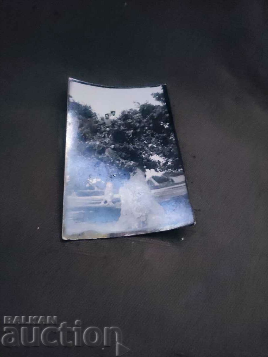 People on a tree with price 30.00 BGN | € 15.34 People on a tree with price 30.00 BGN | € 15.34