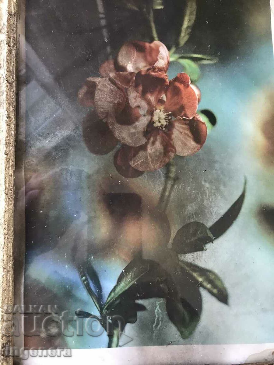 Auction PICTURE POSTER PHOTO WOOD FRAME GLASS FROM THE 70'S Auction PICTURE POSTER PHOTO WOOD FRAME GLASS FROM THE 70'S