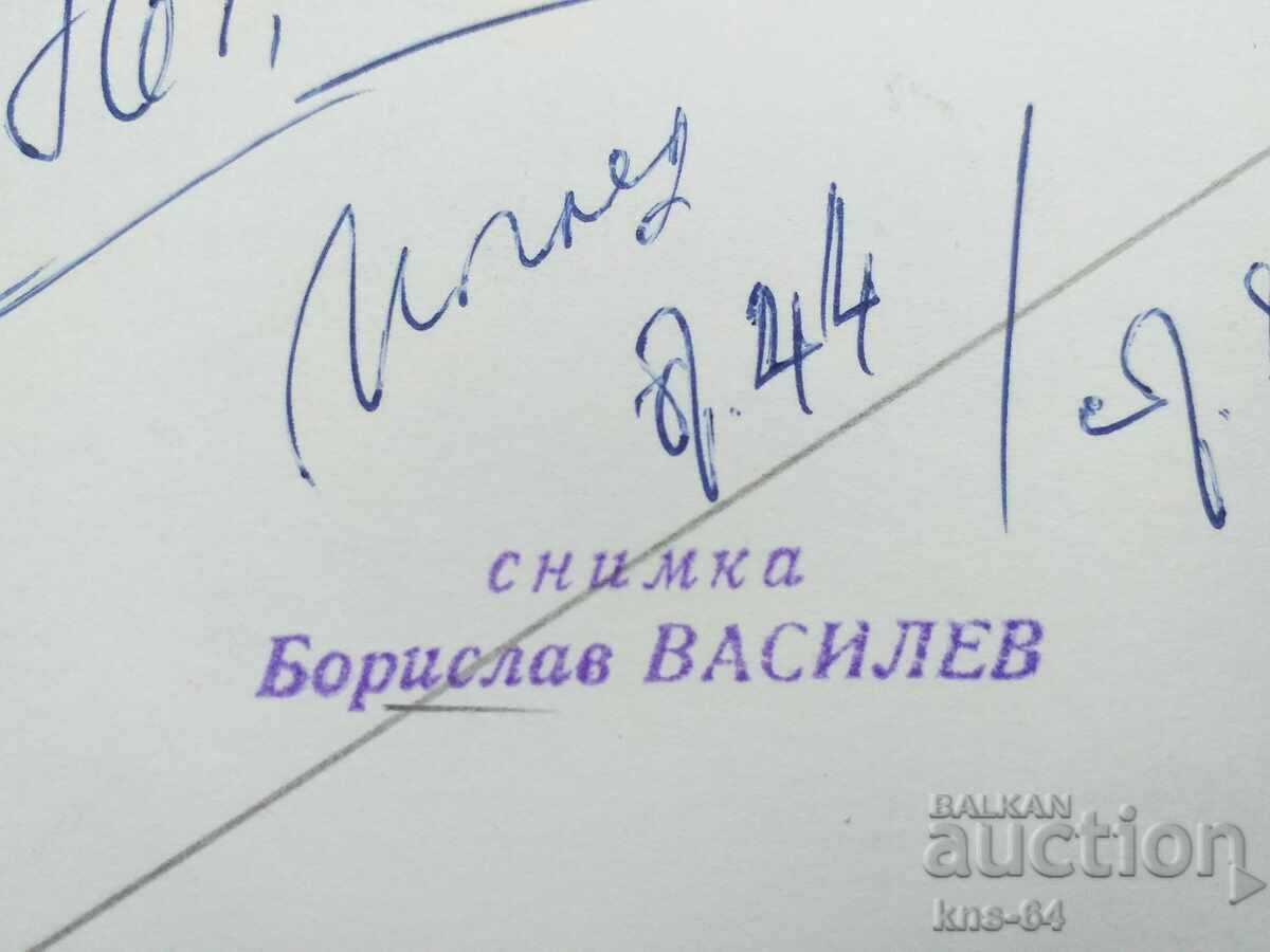 Auction Tank Author's photo Auction Tank Author's photo