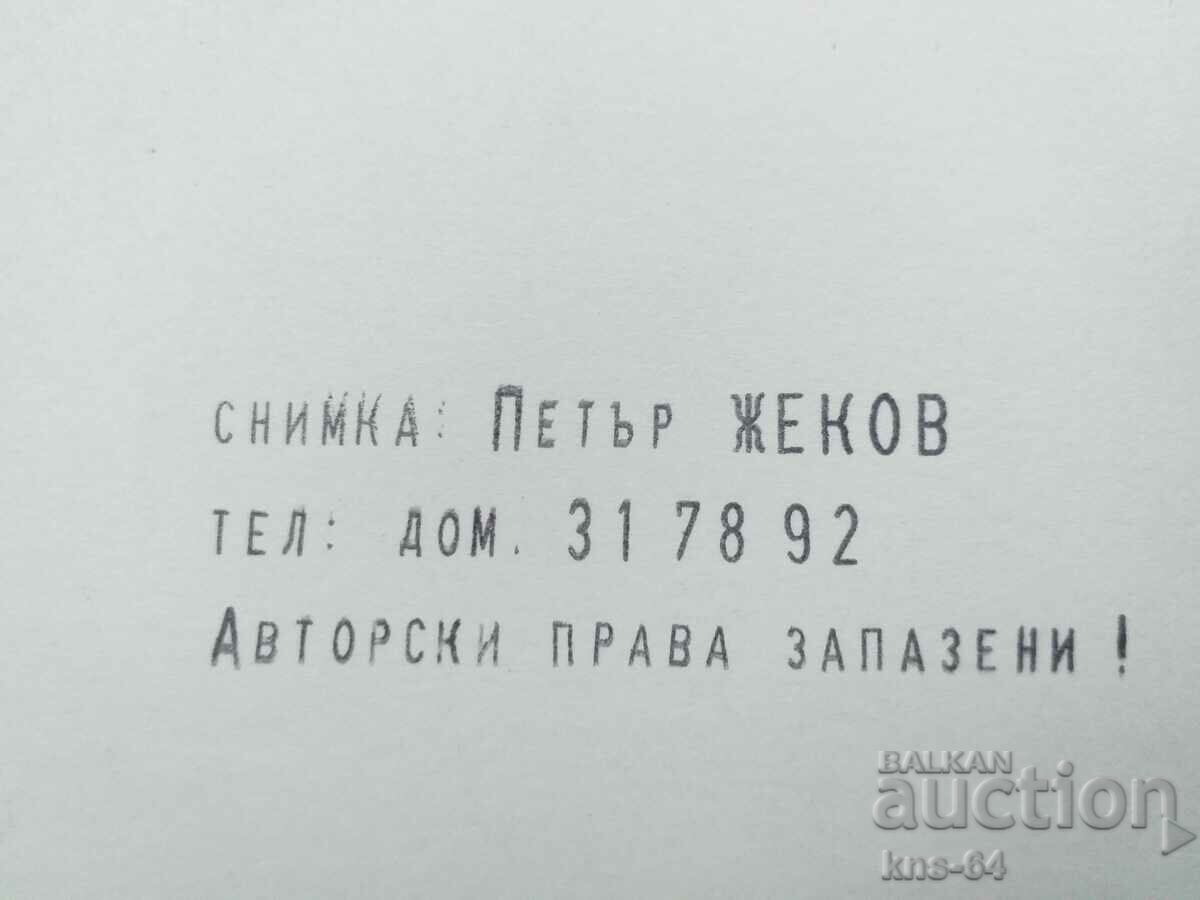 Auction Author's photo Auction Author's photo