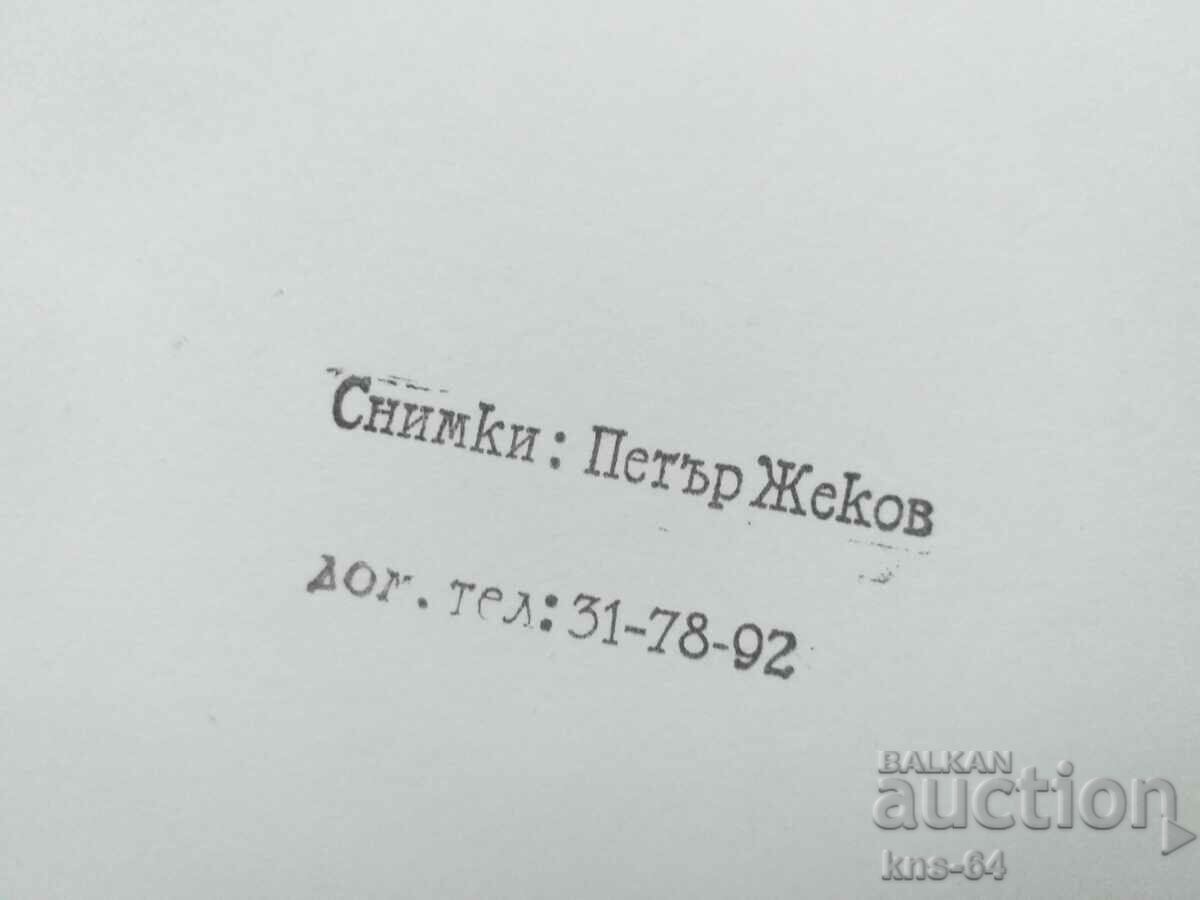 Auction  Ivan Kostov Author's photo