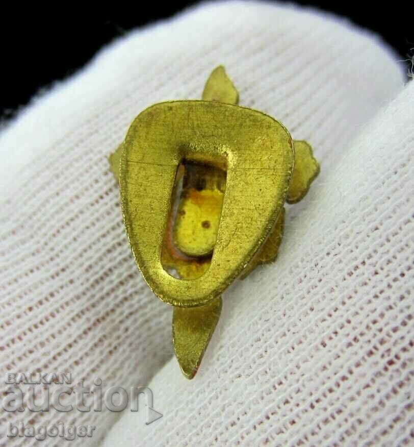 Licitație Veche Insigna Fotbal-Buttonella-Fotbal Club Ferrol Spania