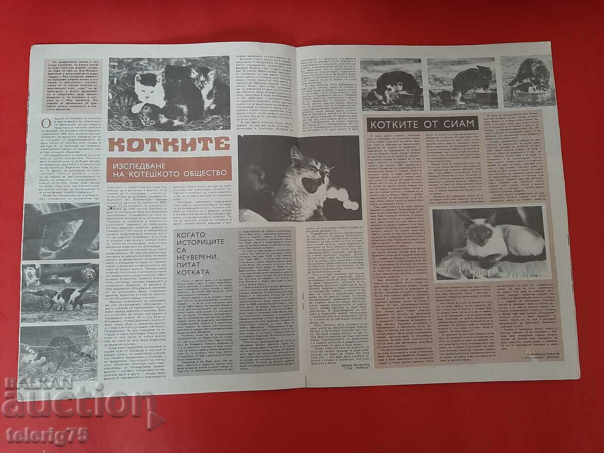 Magazine BTA Parallels-CATS-1989. with price 15.00 BGN | € 7.67 Magazine BTA Parallels-CATS-1989. with price 15.00 BGN | € 7.67