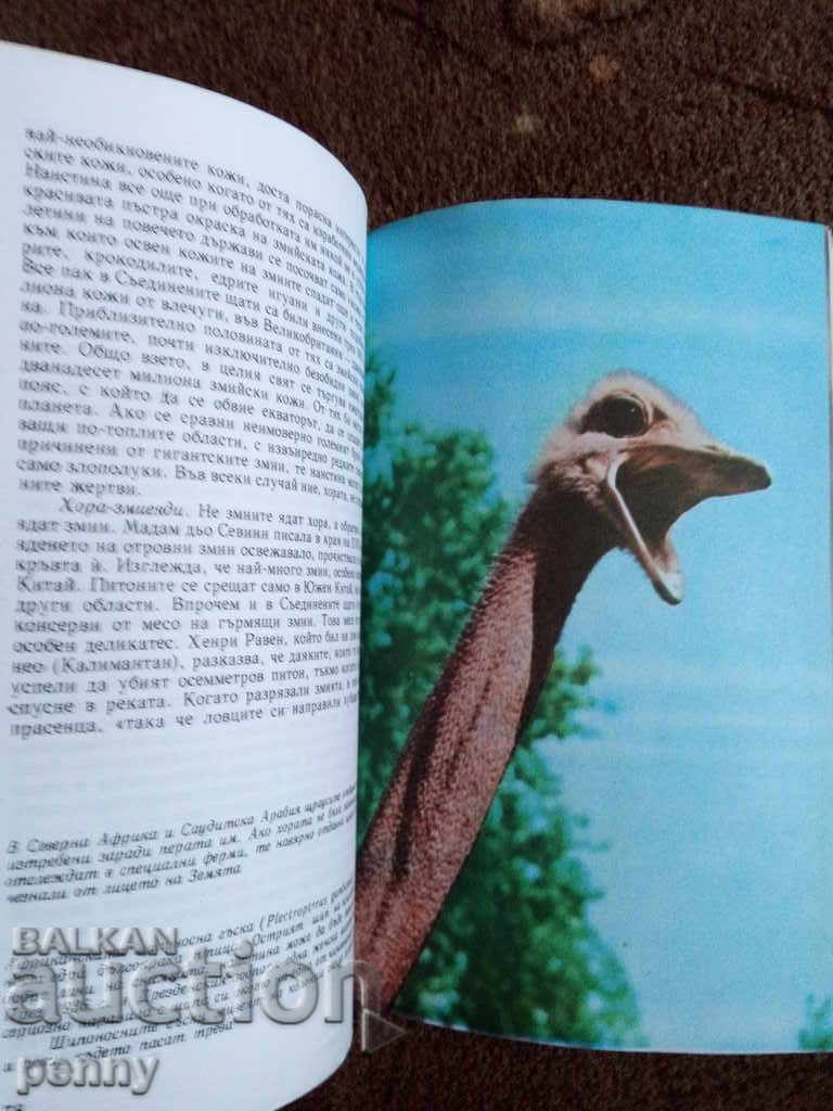 Auction  Among the Animals of Africa - Prof. B. Gzimek