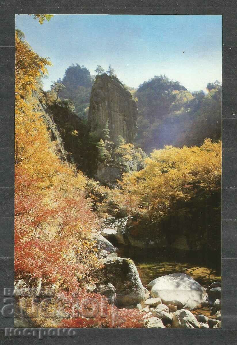 North Korea Old Post card - A 1384