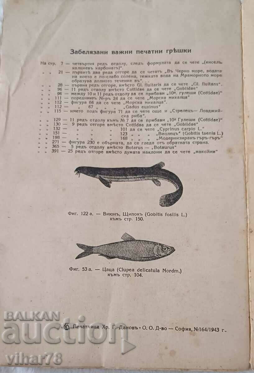 Δημοφιλές μάθημα αλιείας - 5 Δημοφιλές μάθημα αλιείας - 5