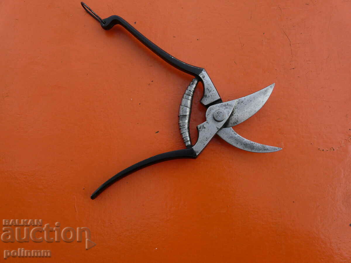 Vineyard scissors Solingen - 12 with price 80.00 BGN | € 40.90