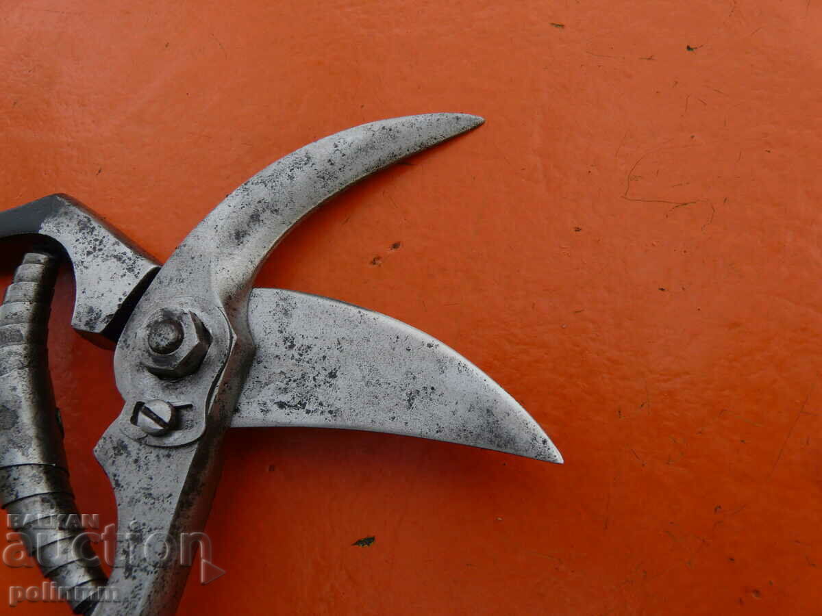 Auction  Vineyard scissors Solingen - 12