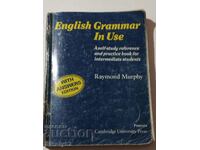 gramatica engleza