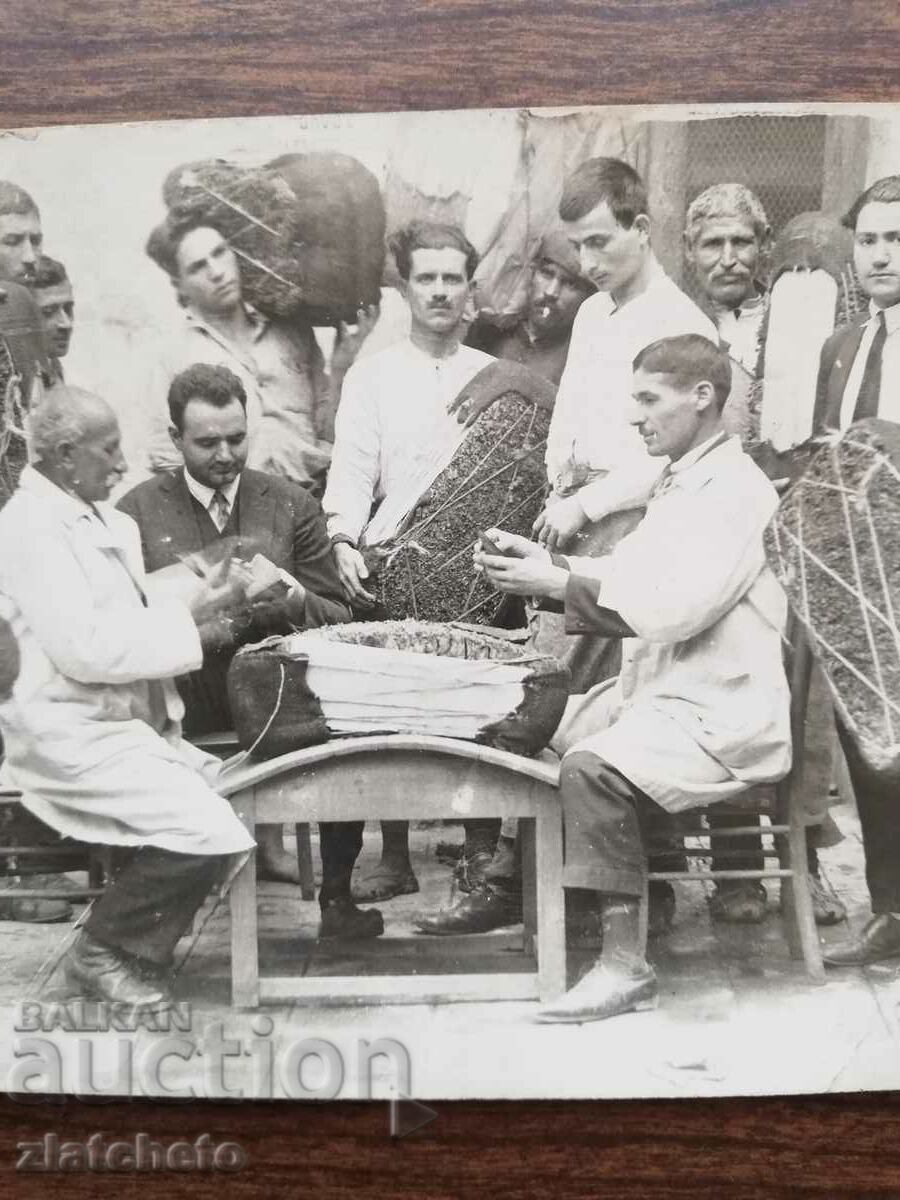 Auction Old photo Kingdom of Bulgaria - cutting a tutuut Auction Old photo Kingdom of Bulgaria - cutting a tutuut