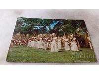 Tahiti Dancers 1964 postcard