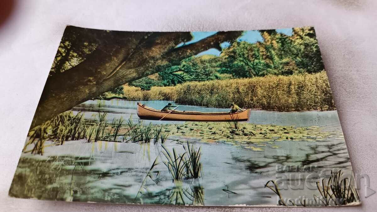 Пощенска картичка Варна Изглед от река Камчия 1960