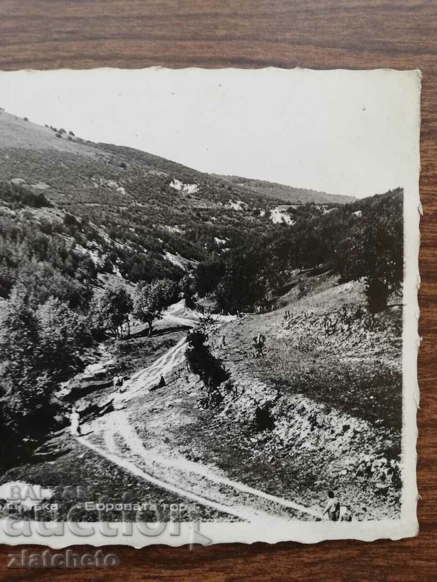 Auction Postal card Kingdom of Bulgaria - Koprivchitsa, Pop and Byala... Auction Postal card Kingdom of Bulgaria - Koprivchitsa, Pop and Byala...