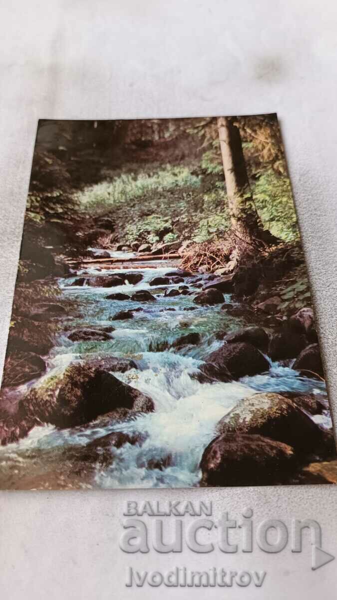 Пощенска картичка Боровец Река Бистрица