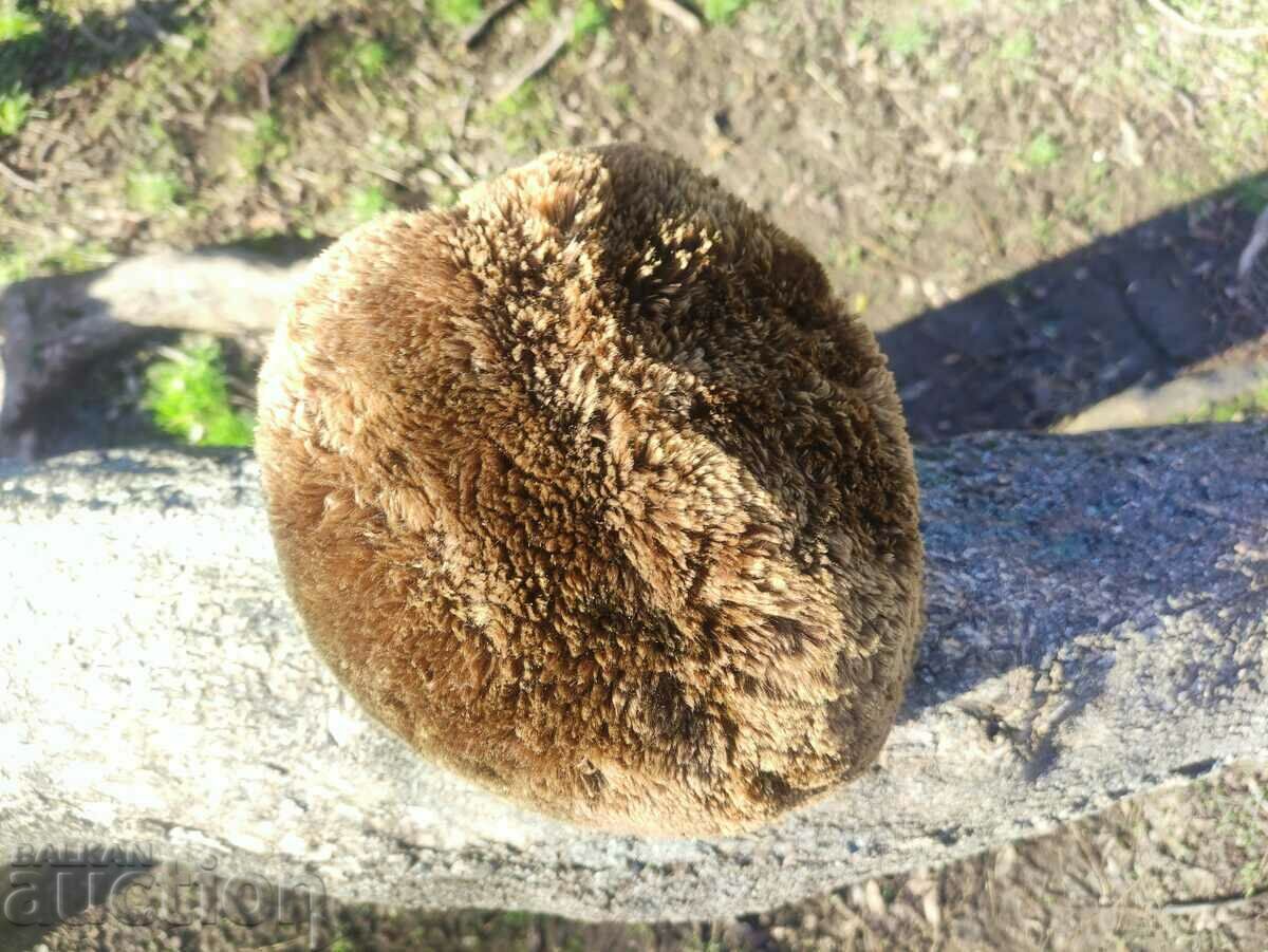 șapcă costum bătrâni - 6