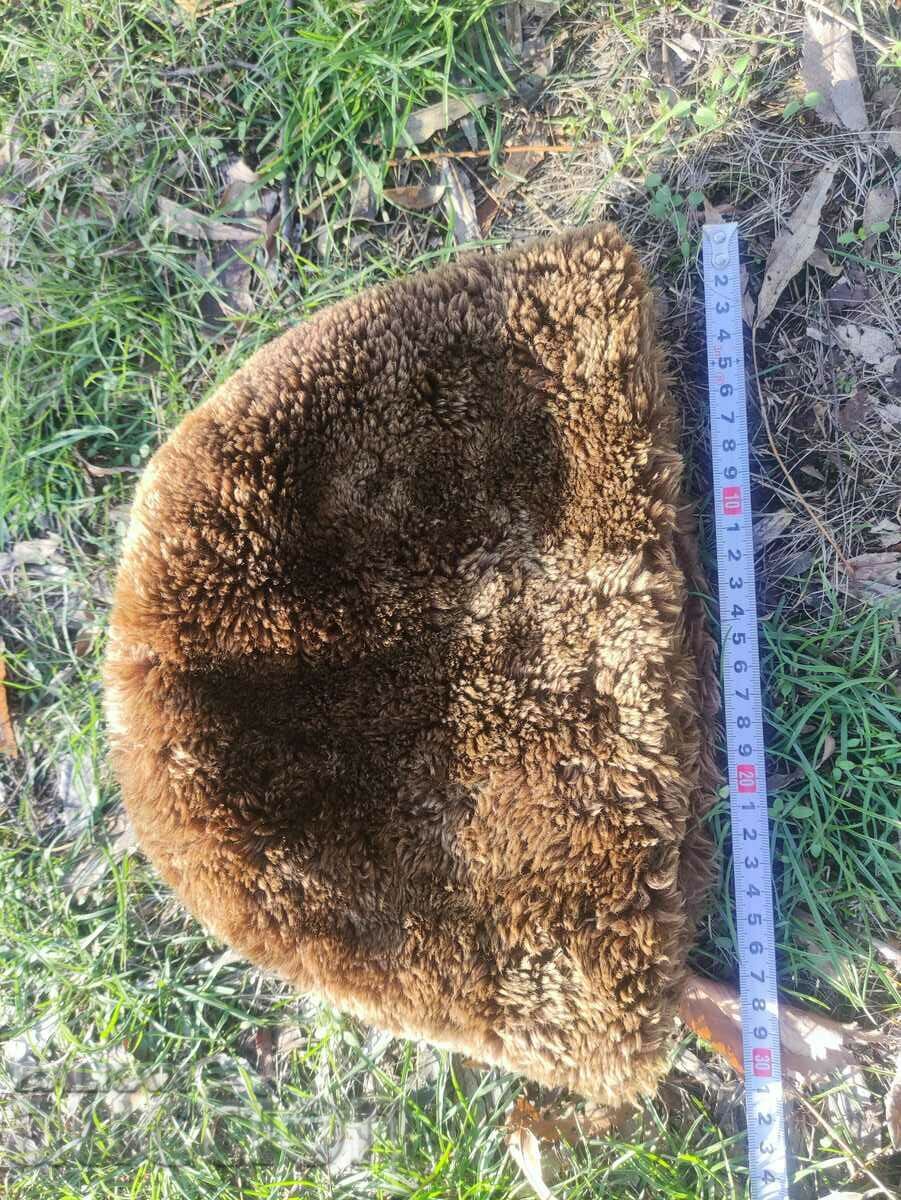 șapcă costum bătrâni - 7