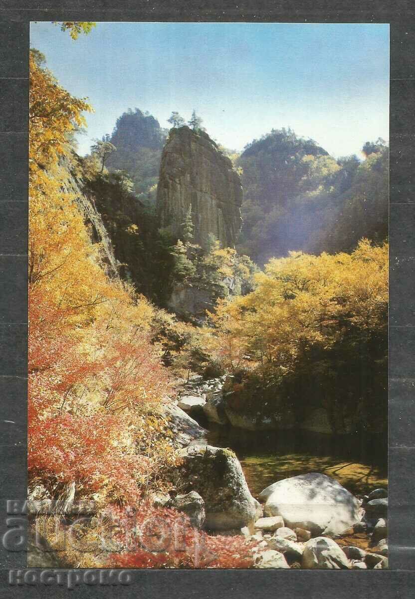 Nature - Naturaleza - North Korea   Old Post card   - A 1520