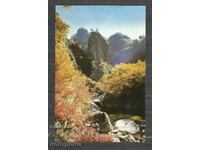 Nature - Naturaleza - North Korea   Old Post card   - A 1520