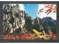 Nature - Naturaleza - North Korea Old Post card - A 1521