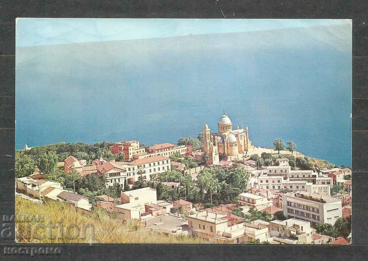 ALGERIE  Post card   - A 1546
