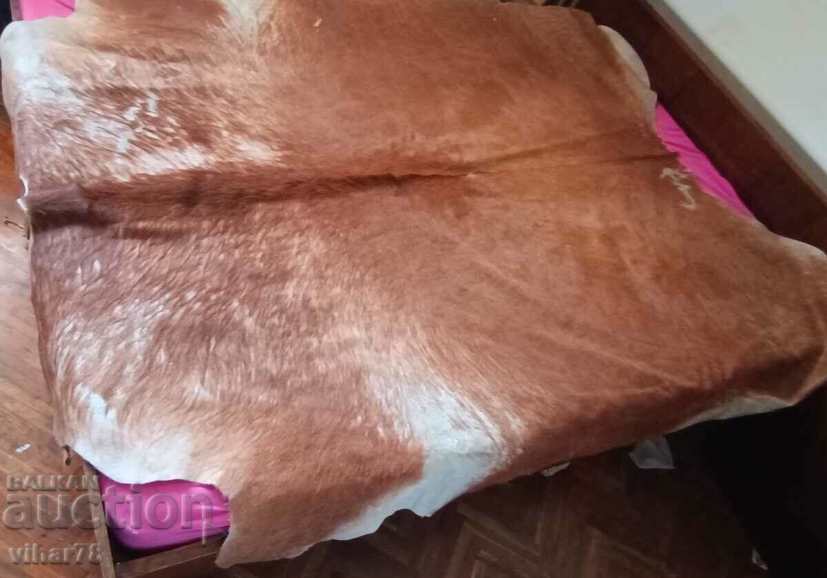 Livrarea Piele de vițel-ESBECO Livrarea Piele de vițel-ESBECO