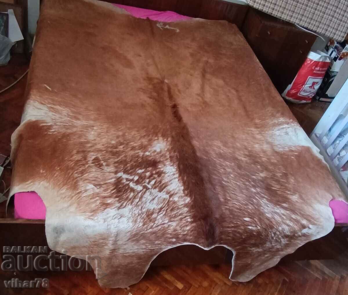 Piele de vițel-ESBECO - 5 Piele de vițel-ESBECO - 5