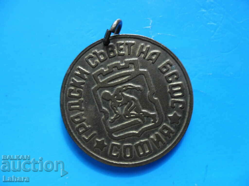 BSFS medal BSFS medal